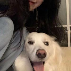 好爽好大又高潮了毛片视频
